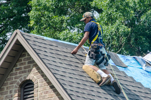 Best Flat Roof Repair Services  in Bay Minette, AL